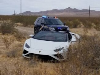 Driver of rented Lamborghini who went ‘off-roading’ suspected of DUI